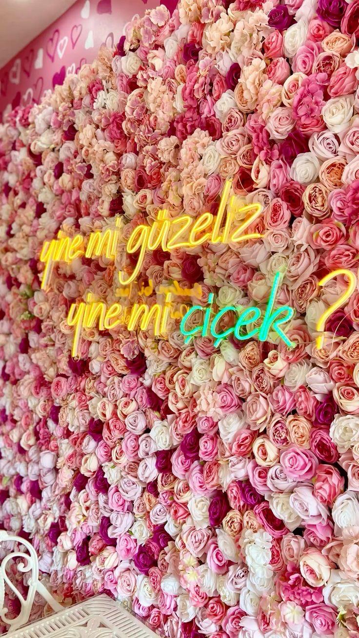 WhatsApp-Image-2026-01-07-at-16.57.30.jpeg WhatsApp Image 2026 01 07 at 16.57.30